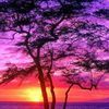 carmen_l